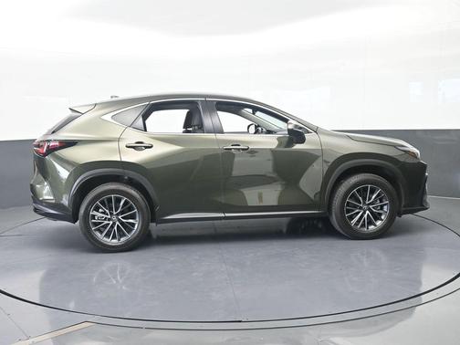 Green Pearl 2025 Lexus NX 250 Base