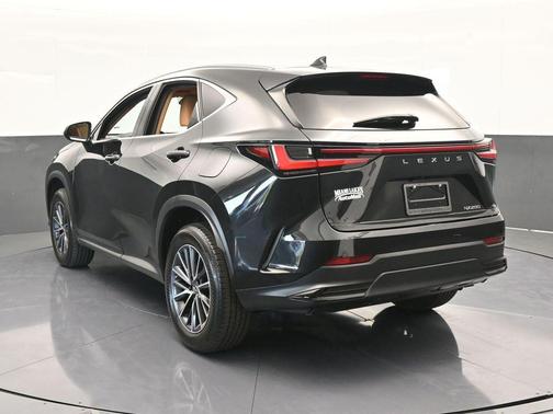 2023 Lexus NX 250 Base