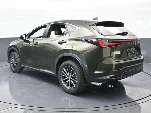 2024 Lexus NX 250 Premium