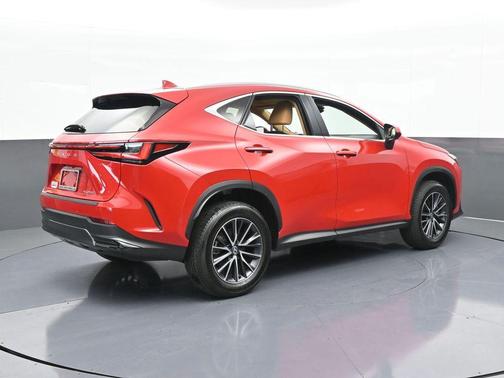 2024 Lexus NX 250 Premium