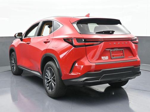 2024 Lexus NX 250 Premium