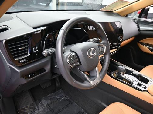 2024 Lexus NX 250 Premium