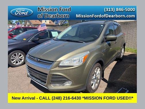 Ginger Ale Metallic 2013 Ford Escape SE