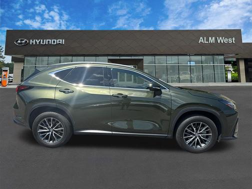 Green Pearl 2024 Lexus NX 250 Premium