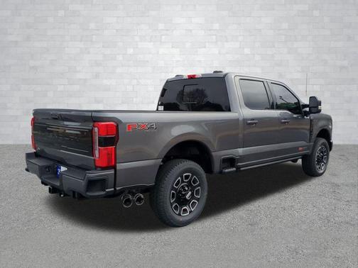 CARBONIZED GRAY 2025 Ford F-250 Platinum