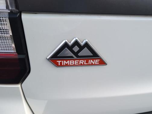 2022 Ford Expedition Timberline