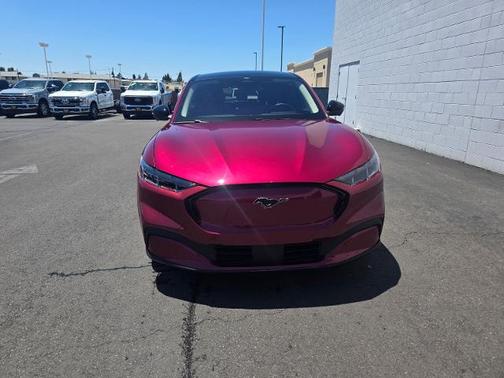 MOLTEN MAGENTA TINTED CC 2025 Ford Mustang Mach-E PREMIUM