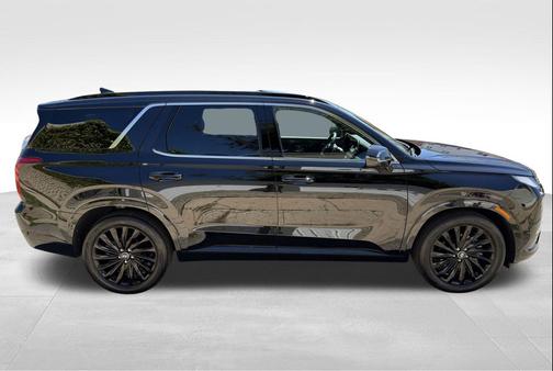 Abyss Black Pearl 2025 Hyundai PALISADE Calligraphy Night Edition