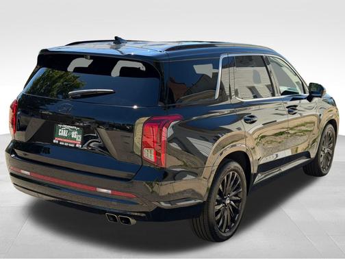 Abyss Black Pearl 2025 Hyundai PALISADE Calligraphy Night Edition