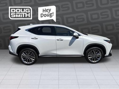 White Pearl 2025 Lexus NX 350h Luxury