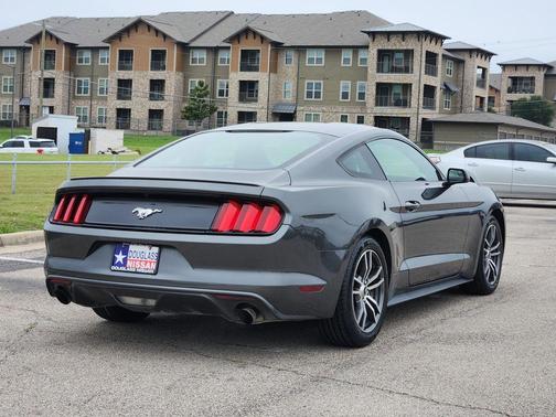Magnetic 2017 Ford Mustang EcoBoost
