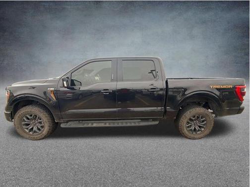 Agate Black Metallic 2023 Ford F-150 Tremor