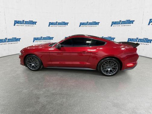 2023 Ford Mustang EcoBoost