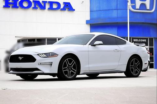 Oxford White 2019 Ford Mustang EcoBoost Premium