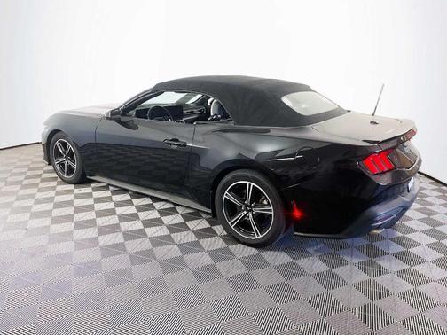 Shadow Black 2024 Ford Mustang EcoBoost Premium