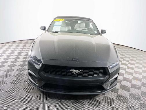 Shadow Black 2024 Ford Mustang EcoBoost Premium