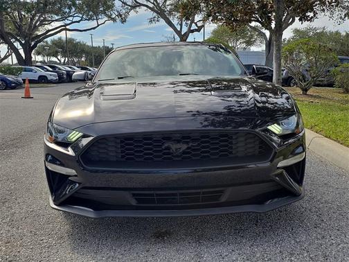 2019 Ford Mustang EcoBoost