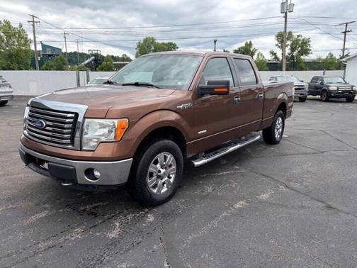 Golden Bronze Metallic 2011 Ford F-150 XLT