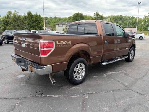 Golden Bronze Metallic 2011 Ford F-150 XLT