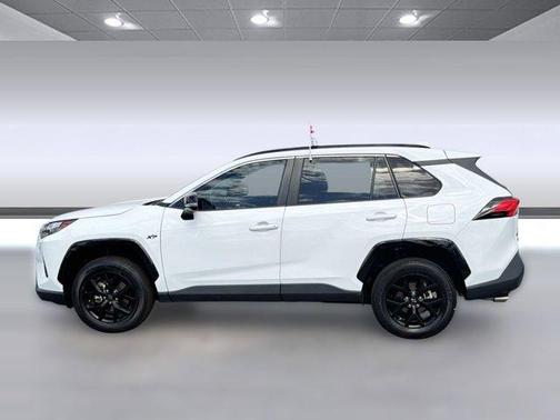 Ice Cap 2023 Toyota RAV4 XLE