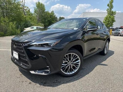 2025 Lexus NX 350 Premium