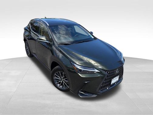 Green Pearl 2025 Lexus NX 350 Premium
