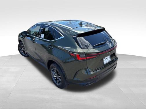 Green Pearl 2025 Lexus NX 350 Premium