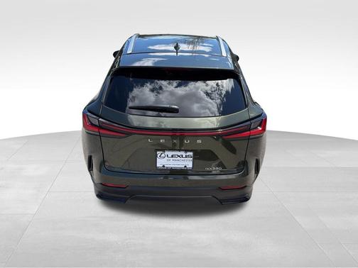 Green Pearl 2025 Lexus NX 350 Premium