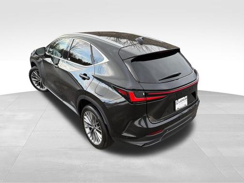 2025 Lexus NX 350 Luxury