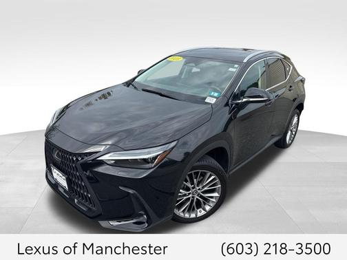 2023 Lexus NX 350 Luxury