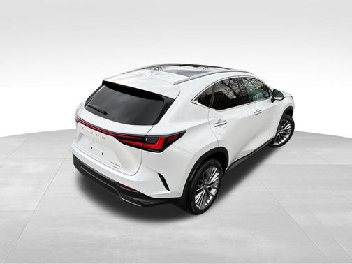 2022 Lexus NX 350 Luxury