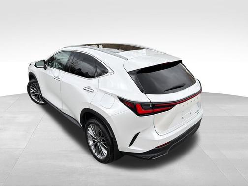 2022 Lexus NX 350 Luxury