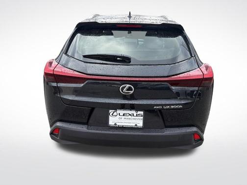 Caviar 2026 Lexus UX 300h Premium