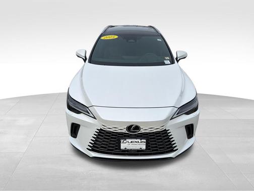 2025 Lexus RX 350 Luxury