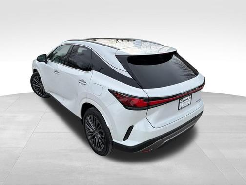 2025 Lexus RX 350 Luxury