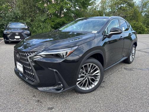 2025 Lexus NX 350 Luxury