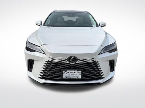 Pear 2026 Lexus RX 350 Luxury