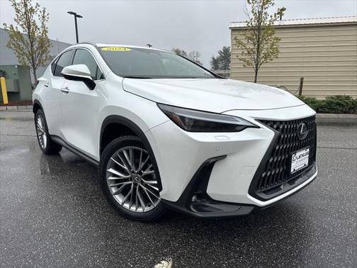 2024 Lexus NX 350 Luxury