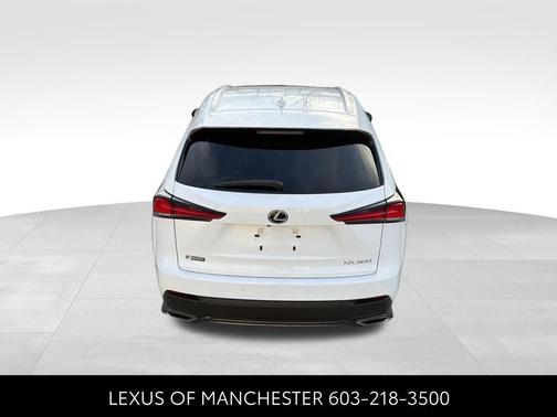 2021 Lexus NX 300 F Sport