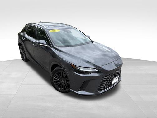Cloudburst Gray 2025 Lexus RX 350 Premium