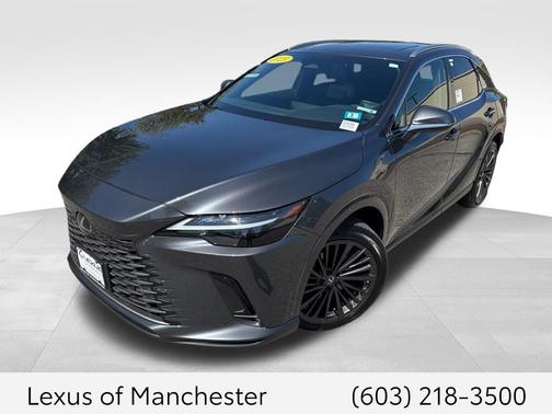 Cloudburst Gray 2025 Lexus RX 350 Premium