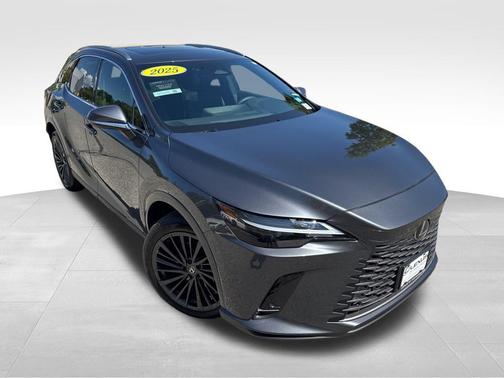 Cloudburst Gray 2025 Lexus RX 350 Premium