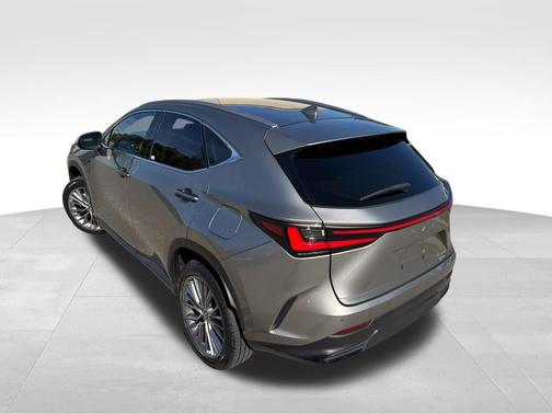 2023 Lexus NX 350h Premium
