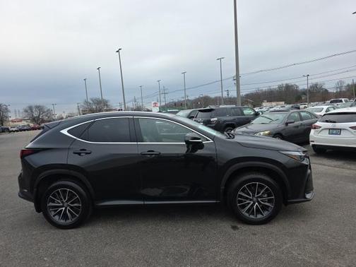 2024 Lexus NX 350h AWD