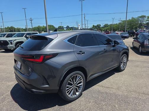 Cloudburst Gray 2022 Lexus NX 350 Luxury