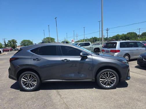Cloudburst Gray 2022 Lexus NX 350 Luxury