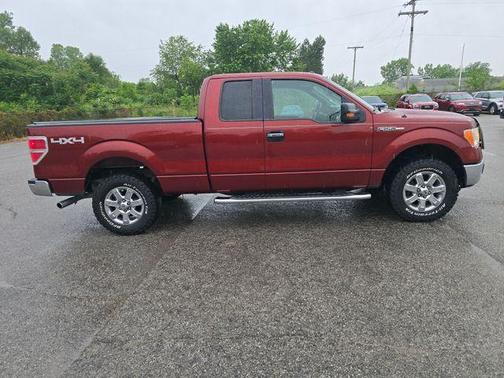 Sunset 2014 Ford F-150 XLT