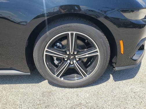 Shadow Black 2025 Ford Mustang EcoBoost Premium