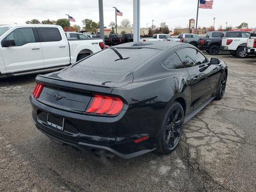 2019 Ford Mustang EcoBoost