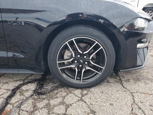 2019 Ford Mustang EcoBoost